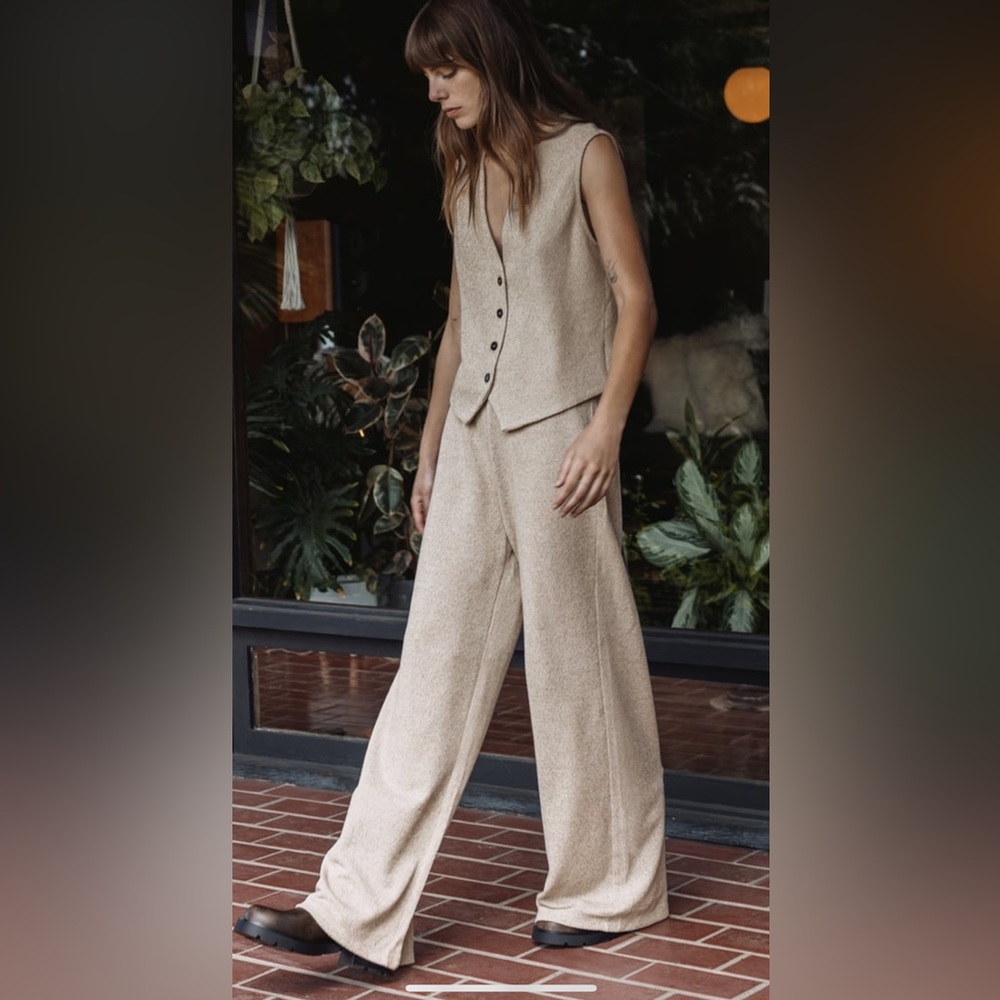 Zara Textured jacquard vest and pants - button up vest and matching pants